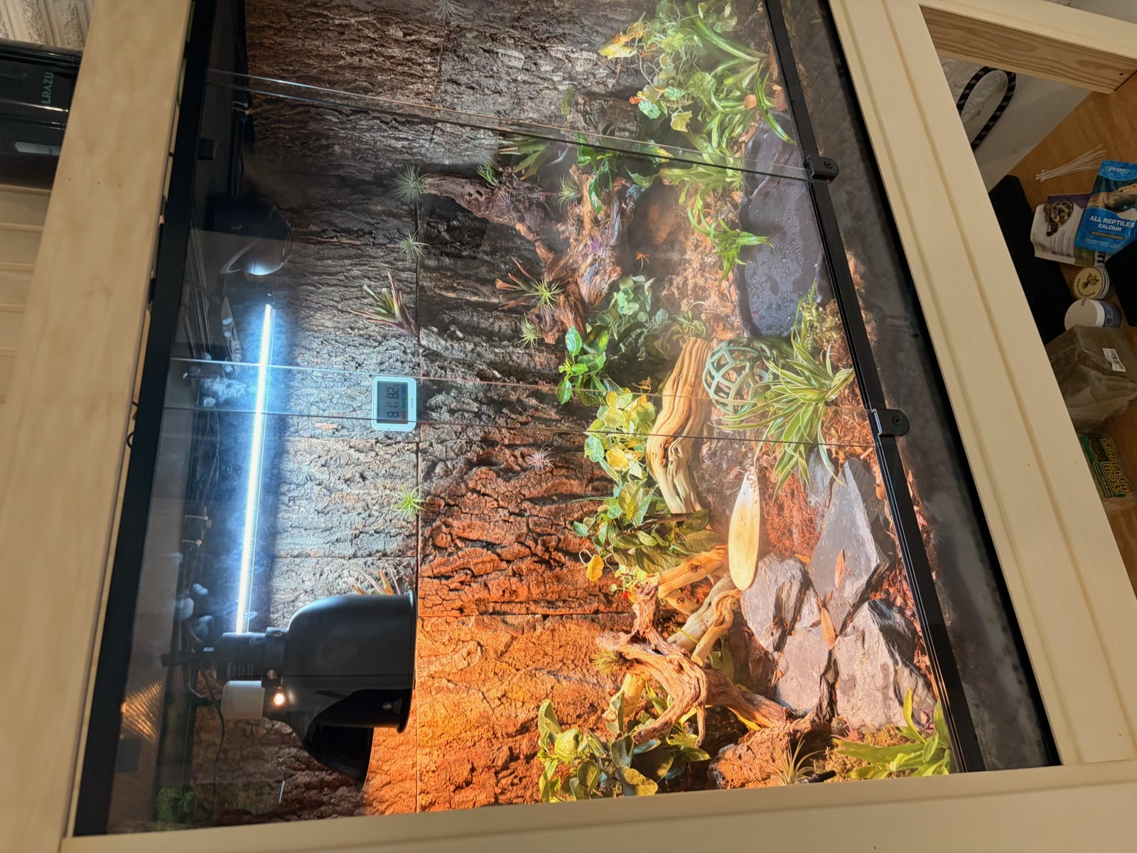 Wide front view of the finished enclosure on its stand with halogen dome, UVB tube, slate hardscape, deep substrate and live plants.