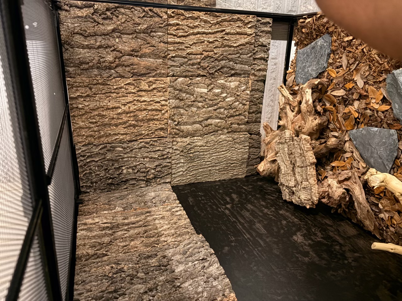 Empty Reptizoo enclosure with cork bark panels siliconed across the back and side walls, painted black substrate line, and a rough dry-fit of driftwood and slate on the bare floor.