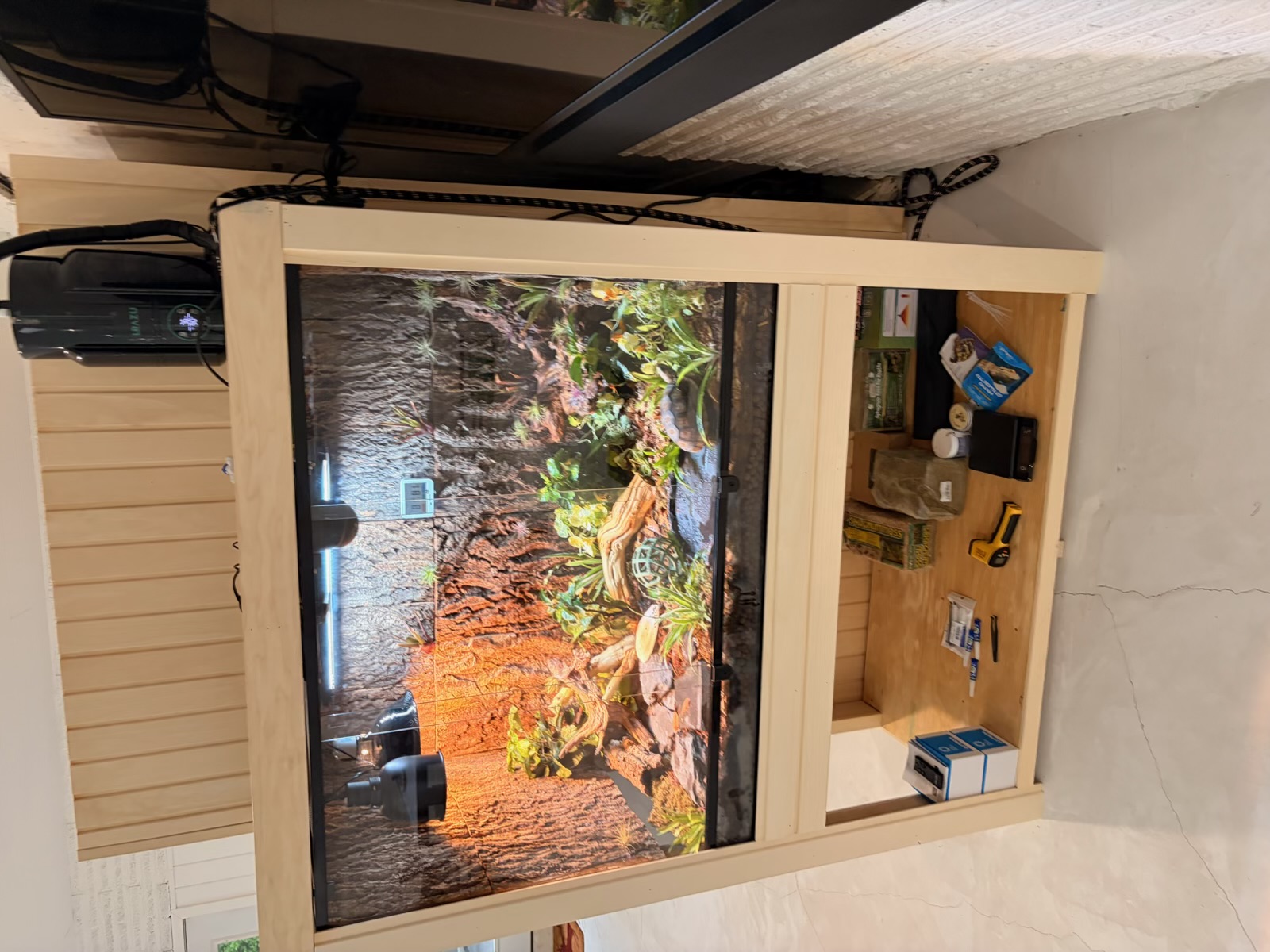 Wide shot of the finished tortoise enclosure on its wooden stand, fogger mounted on top, husbandry supplies and infrared thermometer on the lower shelf.