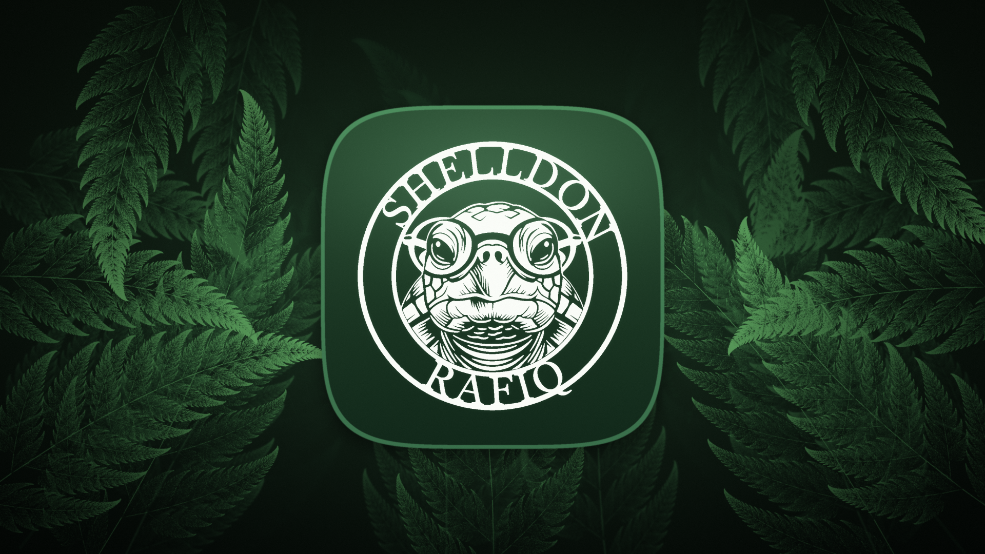 Shelldon Desktop wallpaper preview